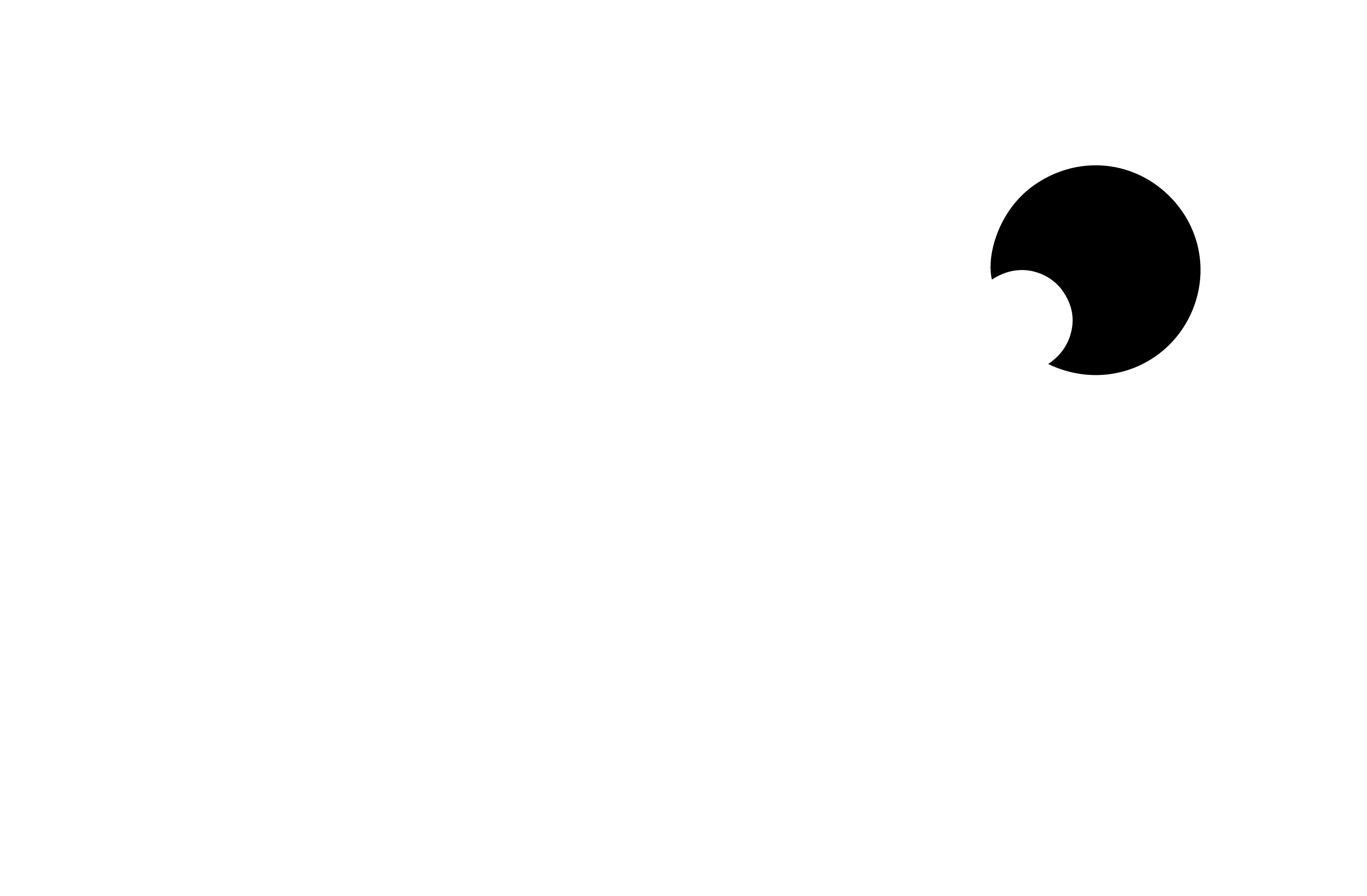 Final Logo white